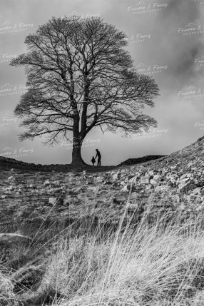 To buy a print or any of the below please click on the images